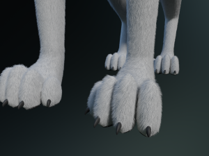 Kodai Wolf Modello 3D
