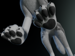 Kodai Wolf Modello 3D