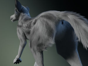 Kodai Wolf Modello 3D