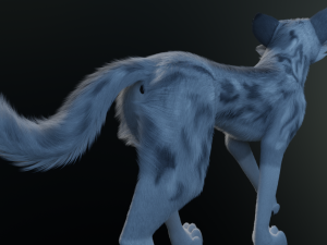 Kodai Wolf Modello 3D
