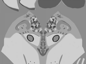 Kodai Wolf Modello 3D