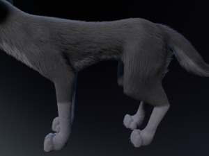 Niju Wolf Modelo 3D