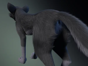 Niju Wolf 3D Model