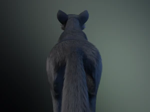 Niju Wolf 3D Model