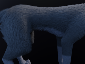 Niju Wolf Modelo 3D