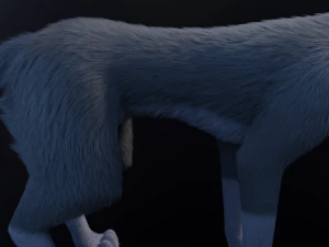 Niju Wolf 3D Model