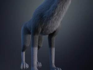 Niju Wolf 3D Model