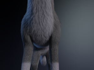 Niju Wolf Modelo 3D