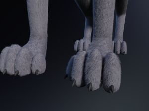 Niju Wolf Modelo 3D