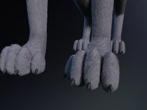 Niju Wolf 3D Model