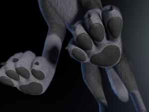 Niju Wolf Modelo 3D