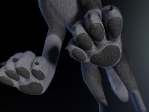 Niju Wolf 3D Model