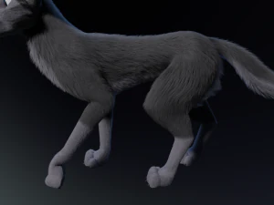 Niju Wolf 3D Model