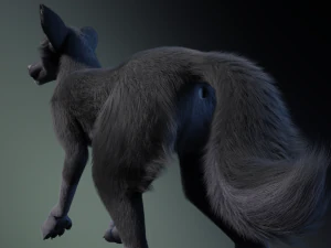 Niju Wolf 3D Model