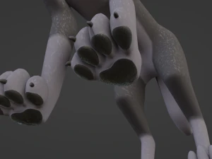 Niju Wolf 3D Model
