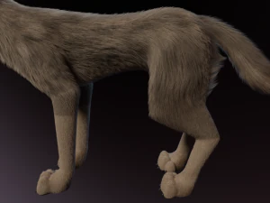 Trinity Wolf 3D Model