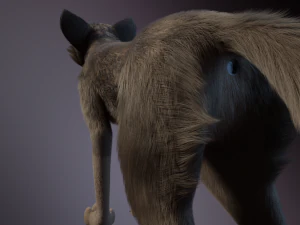 Trinity Wolf 3D Model