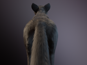 Trinity Wolf Modelo 3D