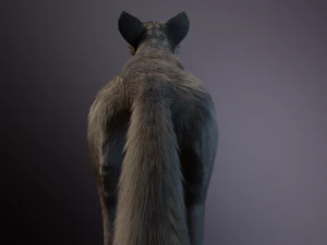 Trinity Wolf 3D Model