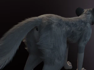 Trinity Wolf 3D Model