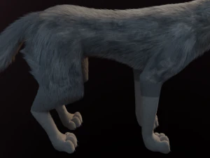 Trinity Wolf 3D Model