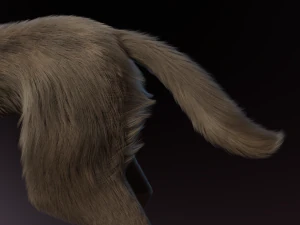 Trinity Wolf 3D Model