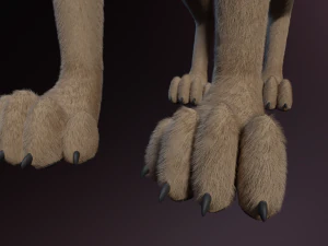 Trinity Wolf 3D Model