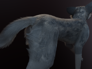 Trinity Wolf Modelo 3D