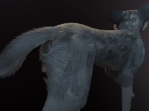 Trinity Wolf 3D Model