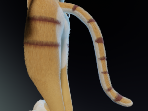 Aurora Anthro Cat Modelo 3D