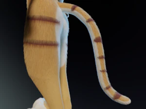 Aurora Anthro Cat 3D Model