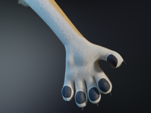 Aurora Anthro Cat Modelo 3D