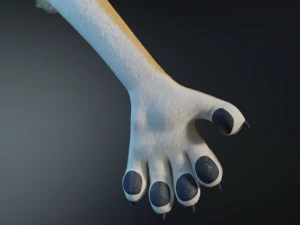 Aurora Anthro Cat 3D Model
