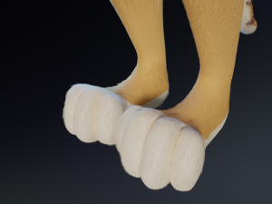 Aurora Anthro Cat Modelo 3D