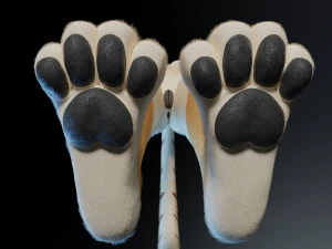Aurora Anthro Cat 3D Model