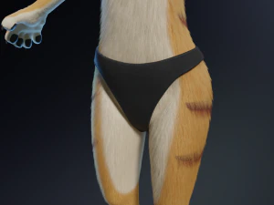 Aurora Anthro Cat 3D Model