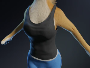 Aurora Anthro Cat 3D Model
