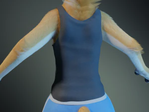 Aurora Anthro Cat 3D Model