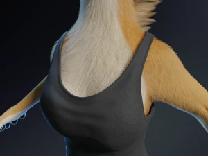 Aurora Anthro Cat 3D Model