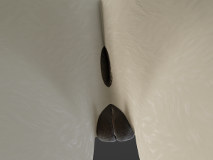 Aurora Anthro Cat Modelo 3D
