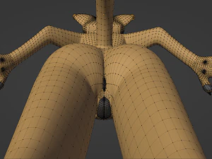 Aurora Anthro Cat 3D Model