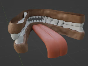Aurora Anthro Cat 3D Model