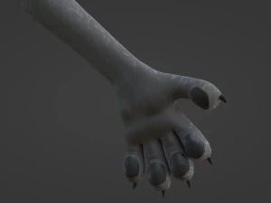 Yennifer Anthro Cat 3D Model