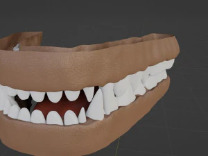 Yennifer Anthro Cat 3D Model
