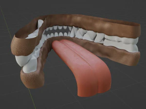 Yennifer Anthro Cat 3D Model