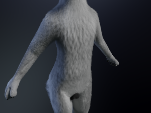 Chris Anthro Wolf 3D Model