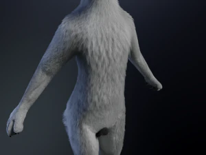 Chris Anthro Lupo Modello 3D