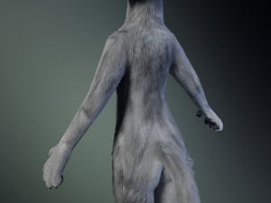 Chris Anthro Wolf 3D Model