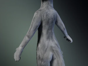 Chris Anthro Lupo Modello 3D