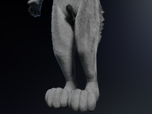 Chris Anthro Wolf 3D Model